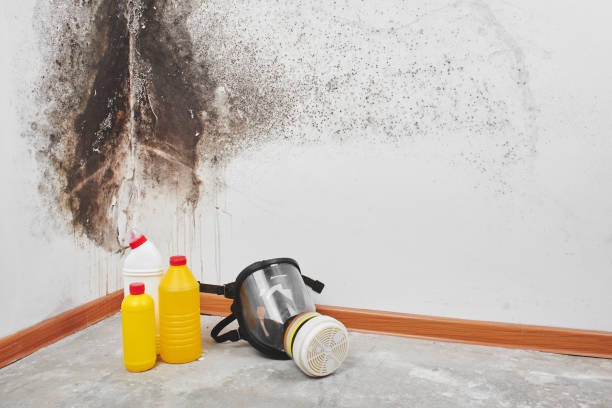 Janesville, WI Mold Removal Company