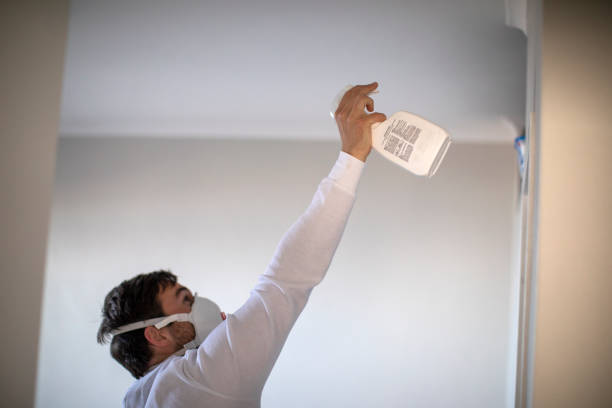 Best Emergency Mold Removal  in Janesville, WI