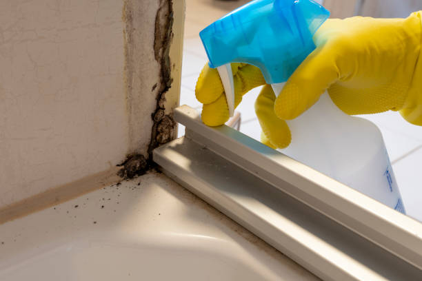 Best Crawl Space Mold Removal  in Janesville, WI