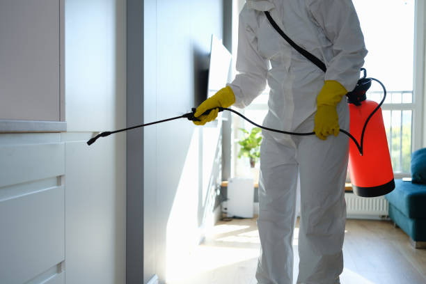 Best Mold Remediation  in Janesville, WI