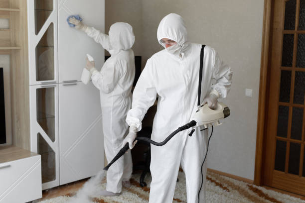 Mold Removal Process in Janesville, WI
