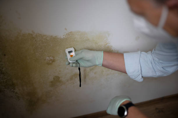 Water Damage Restoration in Janesville, WI