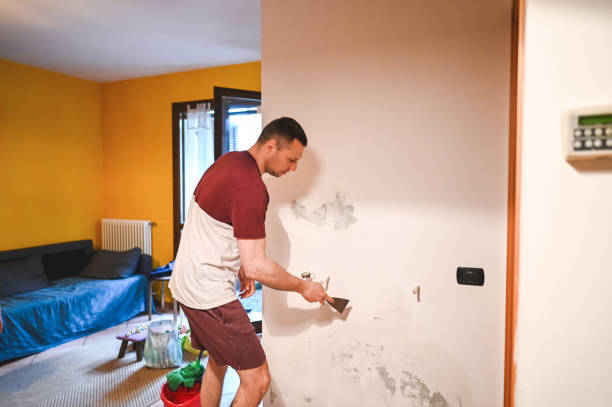 Best Mold Removal Specialists  in Janesville, WI