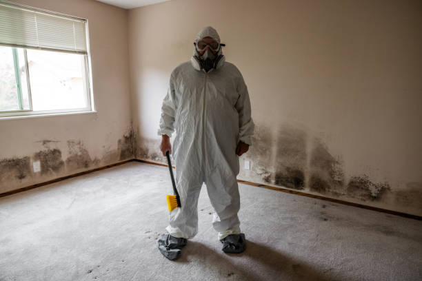 Best Mold Testing  in Janesville, WI